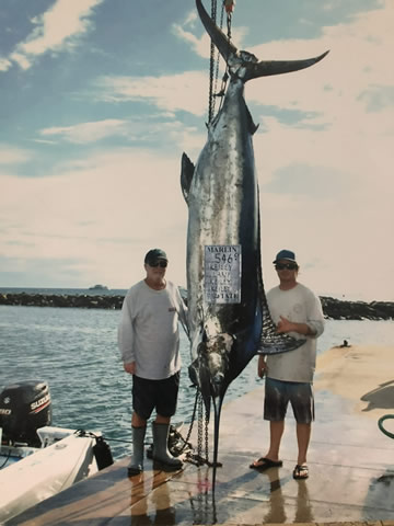 Ahi